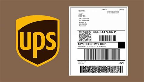 Will UPS Print My Label for Me: A Symphony of Logistics and Imagination